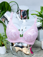 Premium 6 Pieces Bra Combo - Image 2